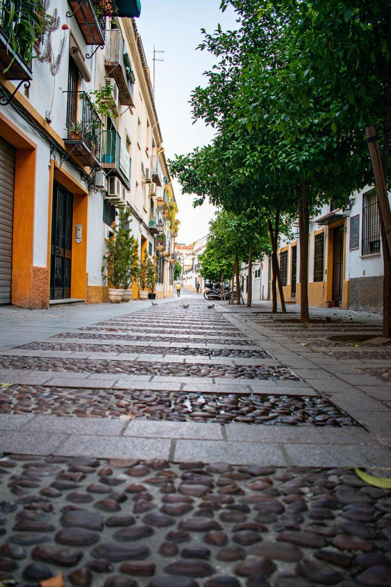 Alojamiento Entero, Centro De Cordoba Con Cochera Екстер'єр фото